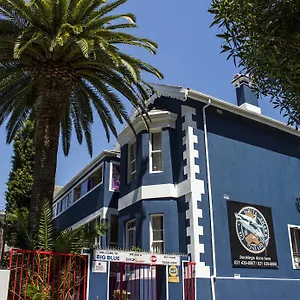 Big Blue Backpackers Hostal